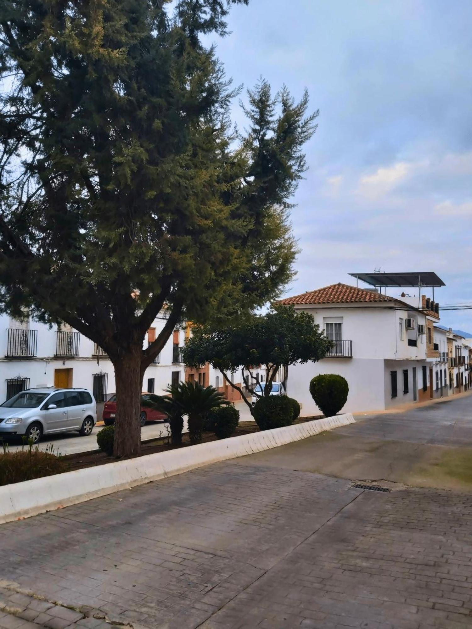 Encinas Reales Arcadia Centro De Andalucia 빌라 외부 사진